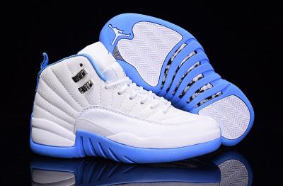 Air Jordan 12-242